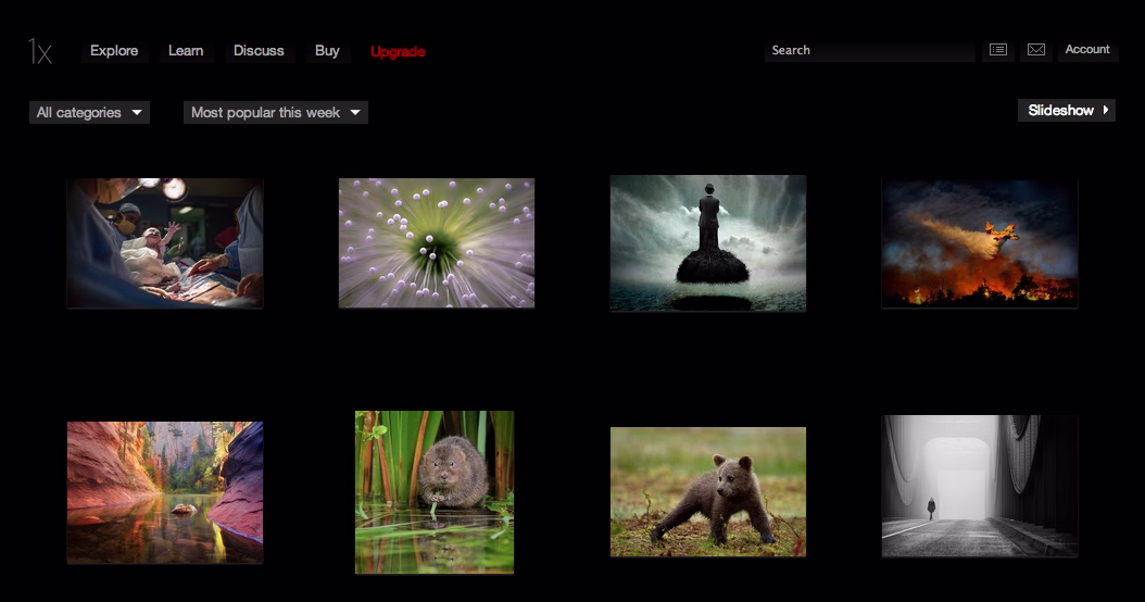 I was honoured to find out that my photo of Maia was selected for display on 1x.com last week
